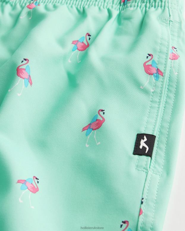 Bottoms Hollister Men Guard Swim Trunks 7\\ 488201395 Mint Print